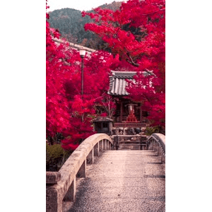 高清风景1375