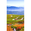 高清风景1381