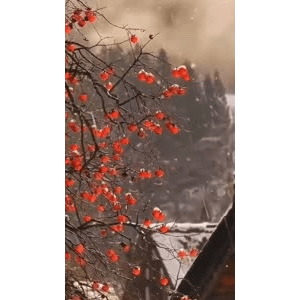 高清风景1422