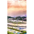 高清风景1425