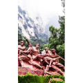 高清风景1429