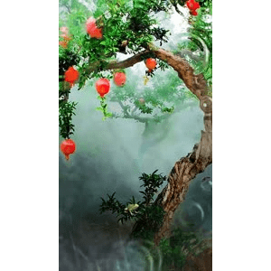 高清风景1433