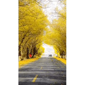 高清风景1447