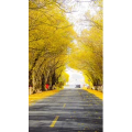 高清风景1447