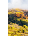 高清风景1451