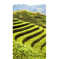 高清风景1469