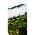 高清风景1473