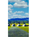 高清风景1498
