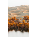 高清风景1499