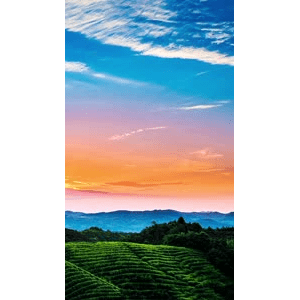 高清风景1506