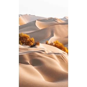 高清风景1510