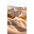 高清风景1510