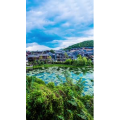 高清风景1526