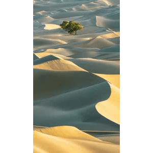 高清风景1533