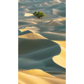 高清风景1533
