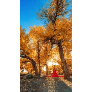 高清风景1537