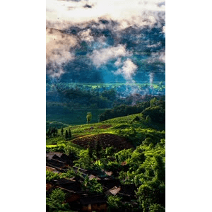 高清风景1540