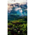 高清风景1540