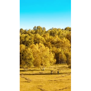 高清风景1541