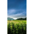 高清风景1548