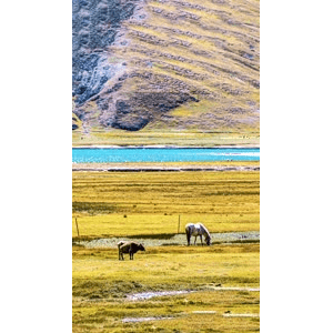 高清风景1549