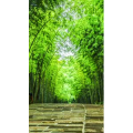高清风景1565