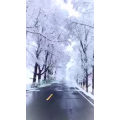 高清风景1577