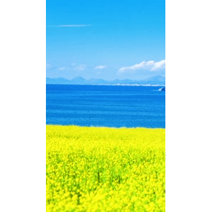 高清风景1580