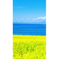 高清风景1580