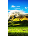 高清风景1619