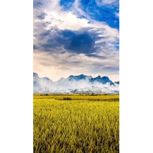 高清风景1625