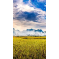 高清风景1625