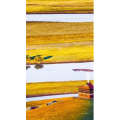 高清风景1651