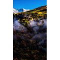 高清风景1657