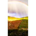 高清风景1665
