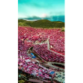 高清风景1669