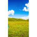 高清风景1681