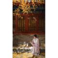 高清风景1717