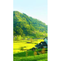 高清风景1736