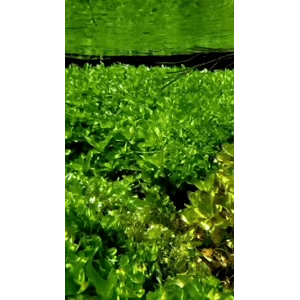 高清风景1739