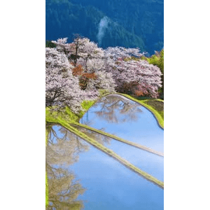 高清风景1746