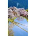高清风景1746
