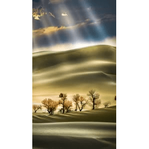 高清风景1747