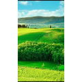高清风景1761