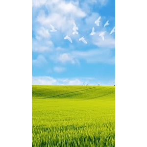 高清风景1764