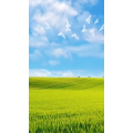 高清风景1764