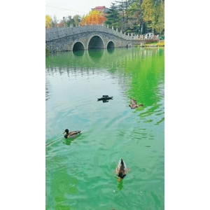 高清风景1768