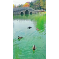 高清风景1768