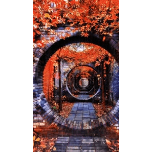 高清风景1769