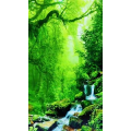 高清风景1770